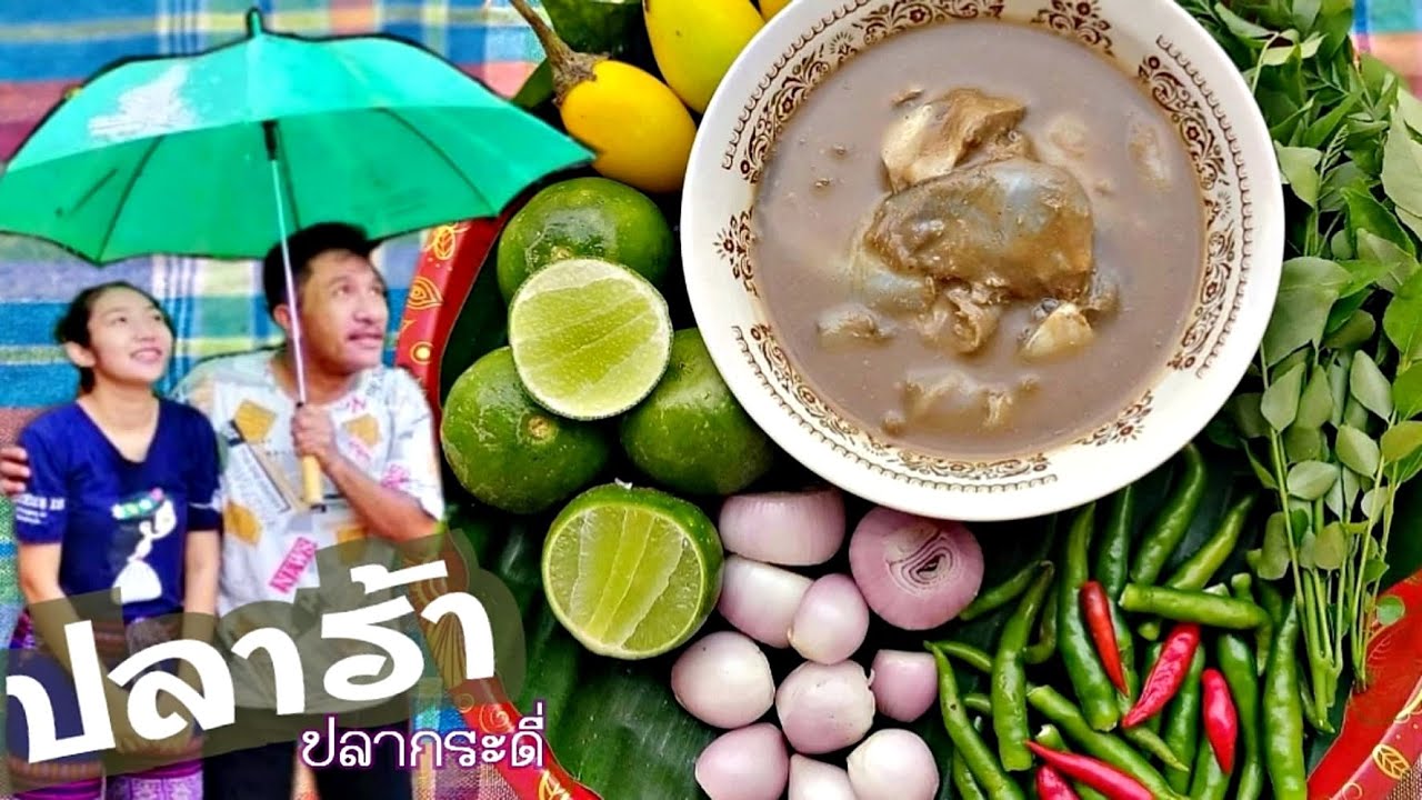 EP 187 . โชเล่ย์..เปิบมือ ปลาร้า ปลากระดี่ 