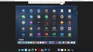Remote access installation using   TeamViewer on Mac