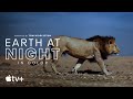 ‘Earth At Night In Color’ Trailer: Apple TV+ Brings You Some Nocturnal Animals