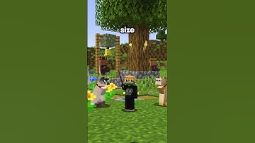 This player raided ALL THE VILLAGER OUTPOSTS on my server SO FAST #minecraft #server #smp