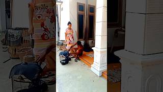 suasana pagi di desa Wonodadi Lorok Pacitan 🤣🤣🤣