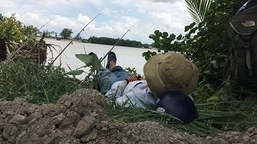 Đi câu cá sông, gặp cá không ăn nằm câu luôn