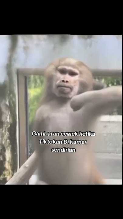 TIKTOK DANCE IS IT LOVE OR NOT