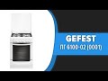 Кухонная плита GEFEST ПГ 6100-02 (0001)