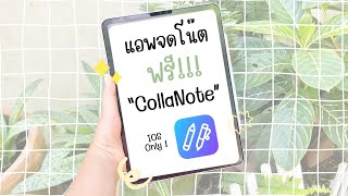 แนะนำแอพจดโน้ตใน iPad ฟรี !! ฟีเจอร์เยอะมากกก 📝💪🏻 | nnlazy.studygram