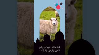 تهنئة عيد الاضحى 2023 | عيد الاضحى المبارك