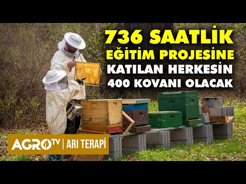 ORGANİK ARI VE ARI ÜRÜNLERİ YETİŞTİRİCİLİĞİ 736 SAATLİK EĞİTİM PROJESİ | Arı Terapi