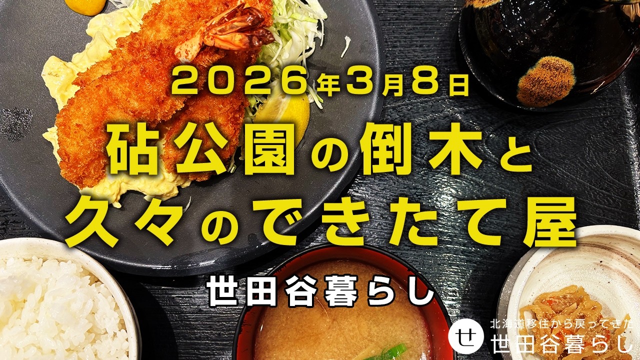 世田谷散歩｜砧公園の倒木があった場所を見てきました。KITTEのできたて屋にいってきました。