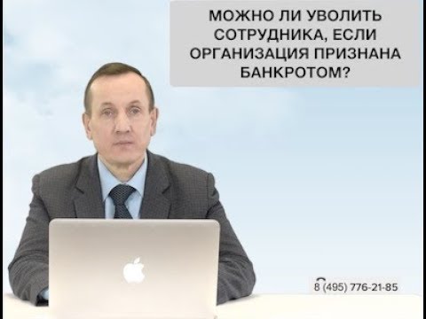 Увольнение сотрудников при банкротстве. Вим Авиа