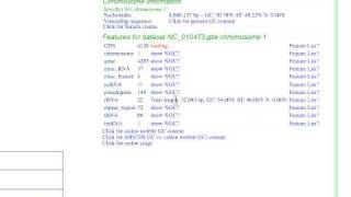 How to Search Organisms Available in CoGe