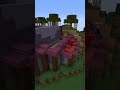 Minecraft Witch Hut Transformation #shorts