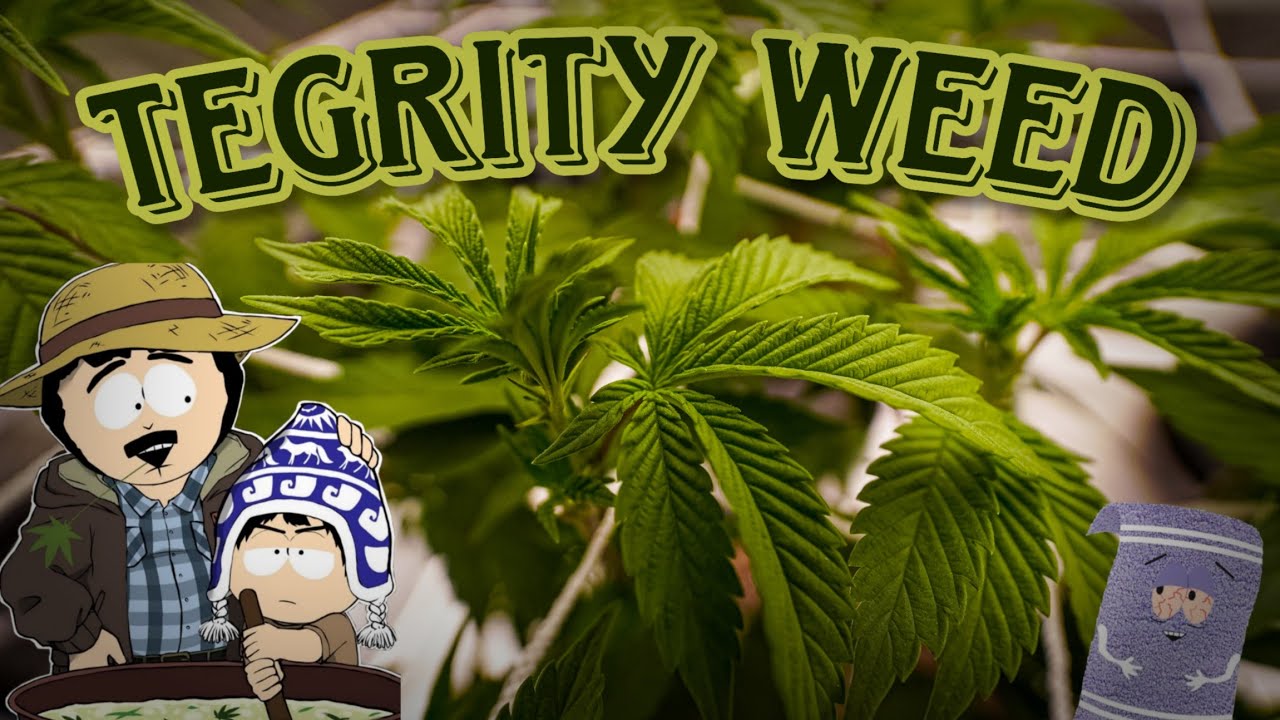 TEGRIDY WEED