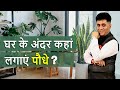 Numerology I घर के अंदर कहाँ लगाएं पौधे? Where should plants be put inside the home I Arviend Sud