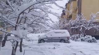 Душанбе засыпан снегом ! На календаре весна , а у нас зима !