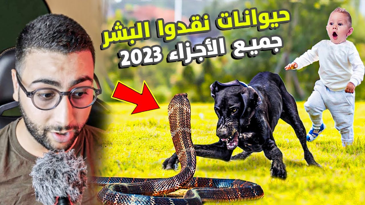 حيوانات نقدوا البشر فآخر لحظة ... !! جميع الأجزاء لسنة 2023