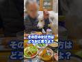 食事中の圧のかけ方がレベル100の超大型犬　#グレートピレニーズ #greatpyrenees #大型犬