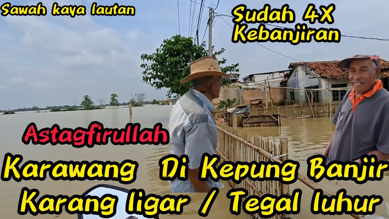 Astagfirullah banjir Lagi‼️Ds Karang Ligar  Tegal luhur Hujan Deras pasti Banjir #kdm 