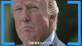 Democrats building momentum ahead of crucial midterms | On Balance