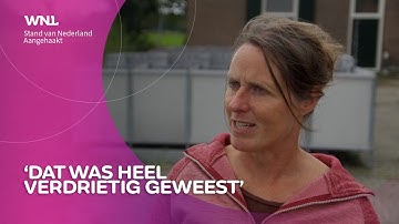Melkveehouder Ellis overwoog te stoppen met boerenbedrijf