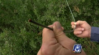 Copper thieves targeting power lines in Jim Wells County