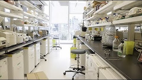 Lab Safety: Biosafety