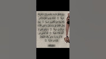 قرآن كريم بصوت جميل جدا ماشاءالله #قران_كريم #اكسبلور #المصحف #دويتو #الرحمن #لايك