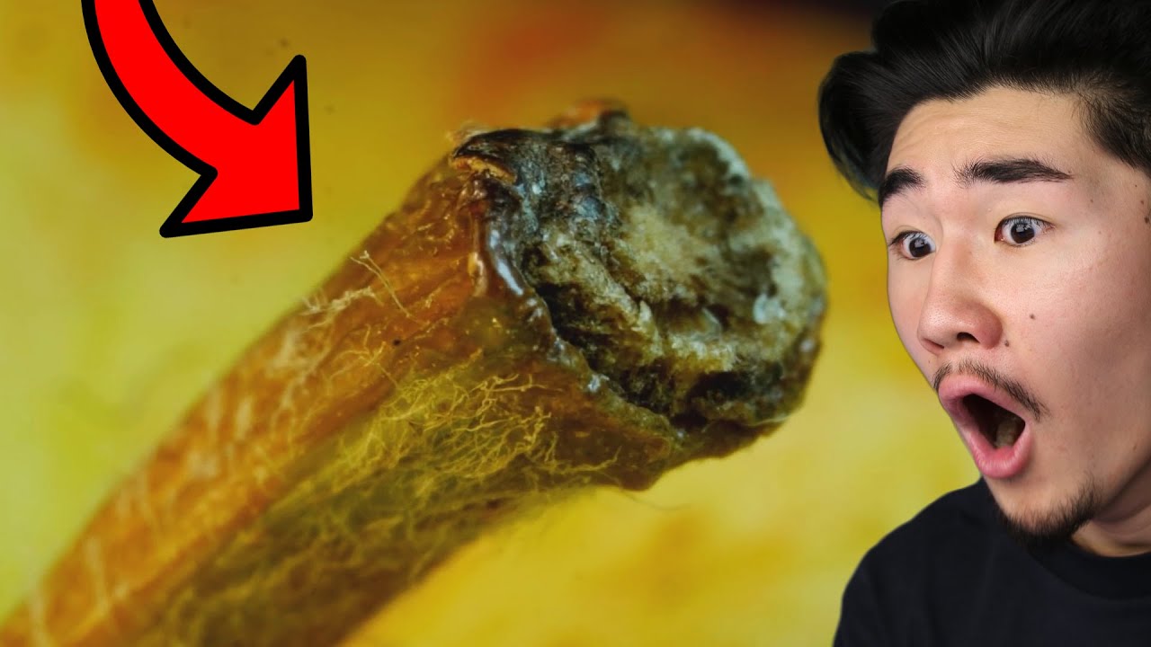 96% Ziet NIET wat dit is...