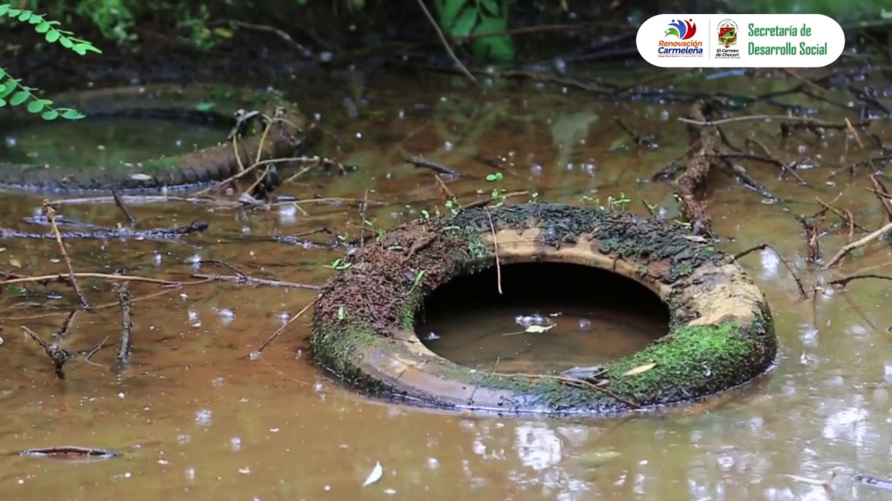 Documental ahorro y uso eficiente del agua - YouTube