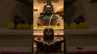 #aagya mujahko maja teri yaari#status #video #shorts video #status