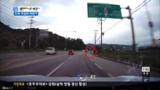 모닝와이드 20130722 다시보기 #1(2)
