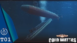 Cold Waters - Installing a mod with JSGME (T.01)