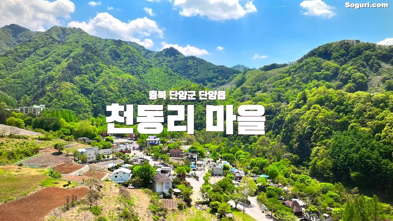 충북 단양군 단양읍 천동리 마을풍경 - 20250502
