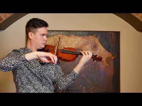 Violin by Luca Salvadori, Cremona, 2020