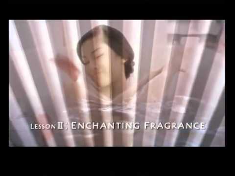 Lux Beauty   Kung Fu  dian sastro wardoyo versi english
