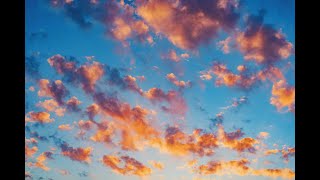 everything/初音ミク