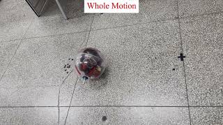 chigui: A novel spherical robot