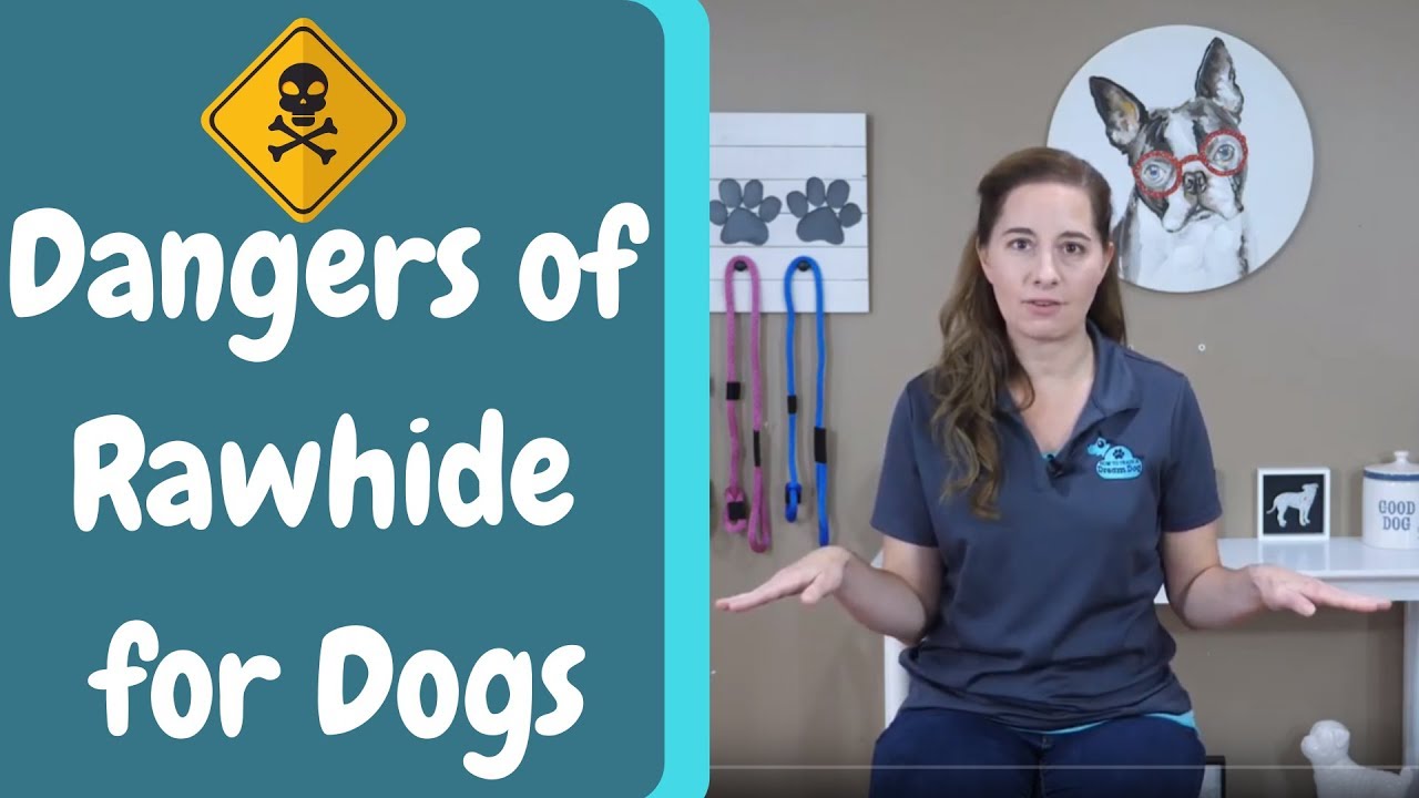 Dangers Of Rawhide For Dogs