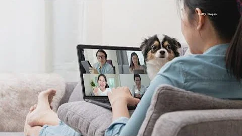 Bentley and Friends: Therapy dogs adapt to pandemic