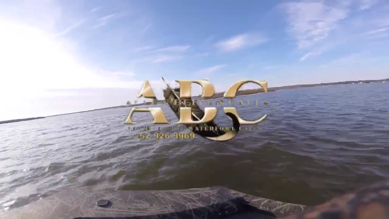 Currituck duck hunt YouTube