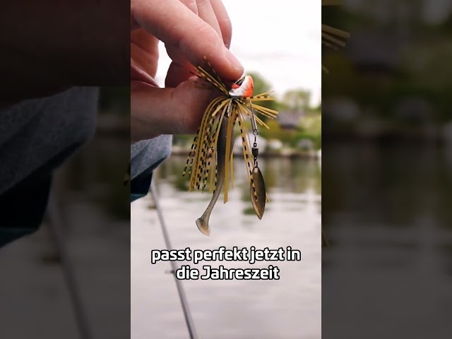 Die SCHATTEN-Maschine 💯#zeckfishing #barsch #spinnfischen