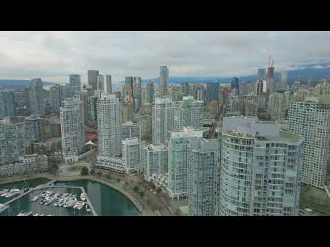 New Years Day False Creek 2023