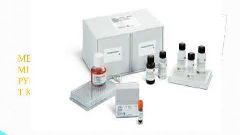 MONOCYTE ACTIVATION TEST