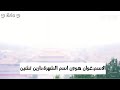 بطل مسلسل الكوري فتاتي وحيد القرن