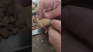 Ranitas de corchos. screenshot 1