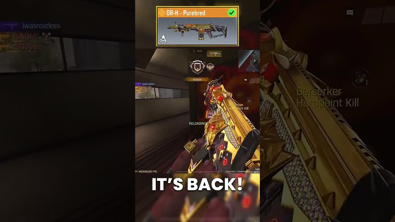 DRH purebred is back with a Huge discount. 