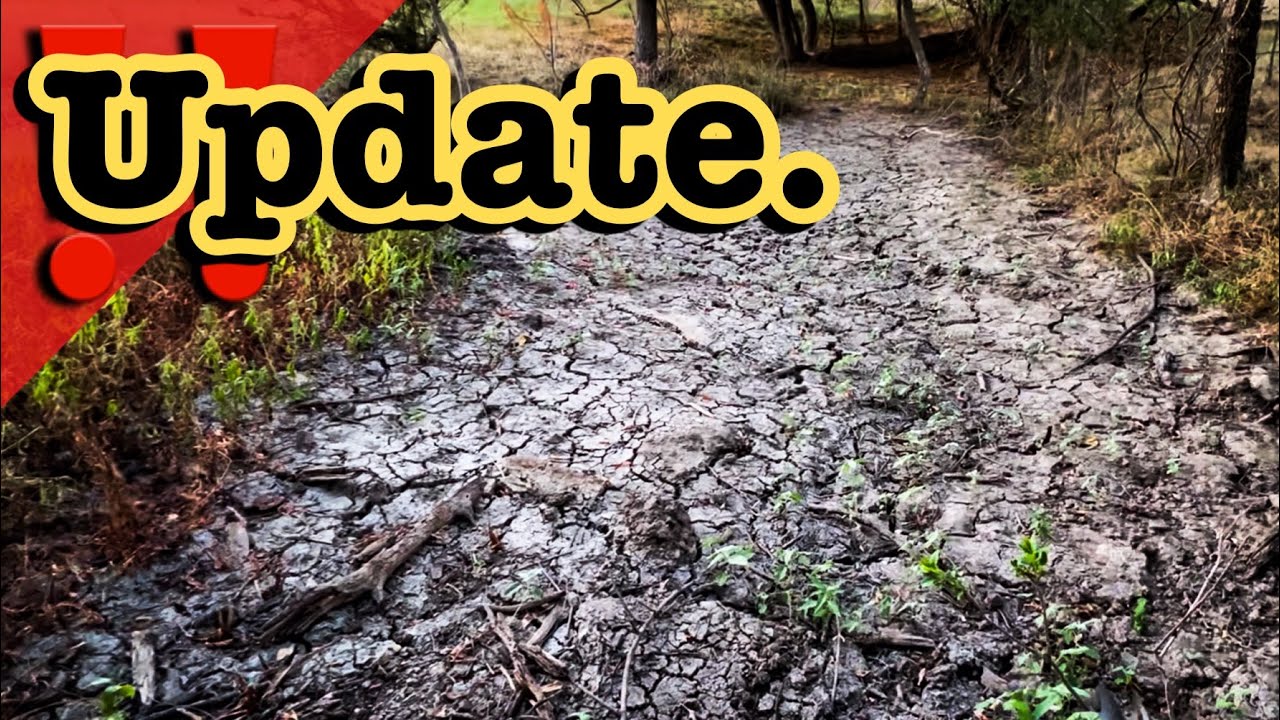 ‼️ UPDATE ON DROUGHT IN TEXAS (2022 USA) Beef Cattle Market Dorper ...
