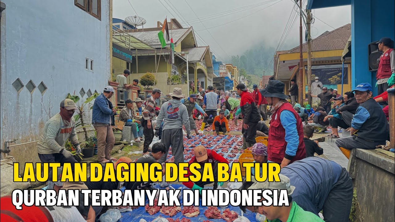 VIRALL..!! LAUTAN DAGING DESA BATUR, QURBAN TERBANYAK DI INDONESIA