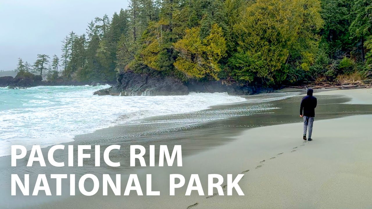 Peaceful Walk Through Primal Forests & beaches of Pacific Rim National Park, Vancouver Island BC