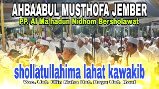 SHOLLATULLAHIMA LAHAT KAWAKIB - AHBAABUL MUSTHOFA JEMBER 2023