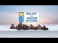 The Sea Ice for Walrus Outlook—A Partnership to Support Safe Hunting and Knowledge-Sharing